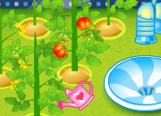 點擊進入 : 種植蕃茄 - 遊戲室