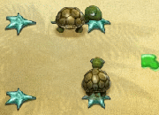 點擊進入 : 烏龜生蛋 - 遊戲室